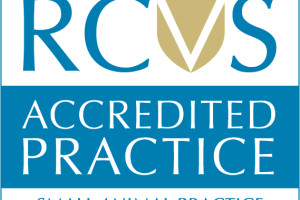 RCVS Accredited