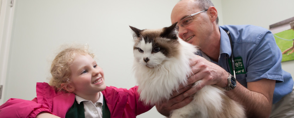 Heathfield-Vets-Cat Friendly Clinic