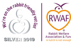 Rabbit friendly vet - logo