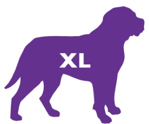 XL Dogs