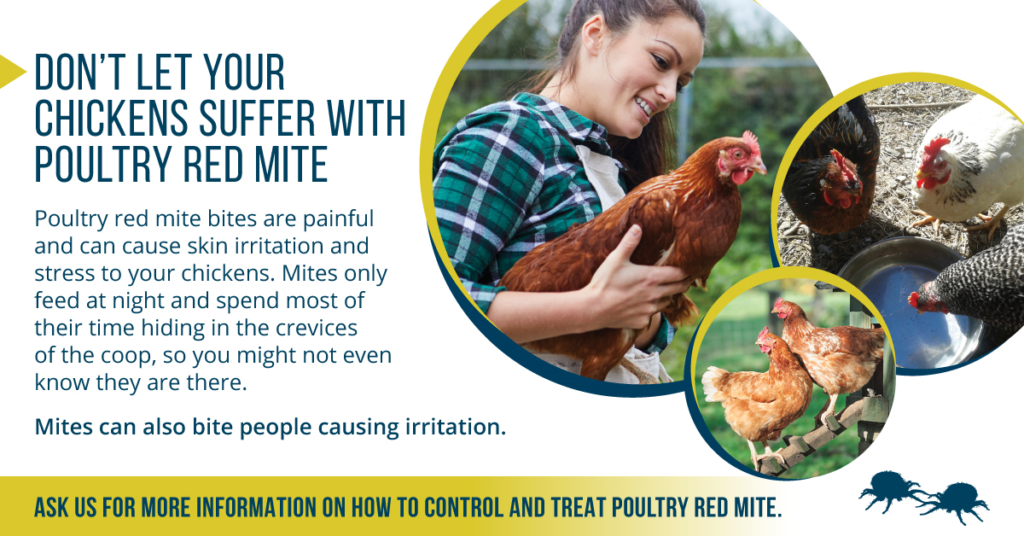 New red mite preventative treatment for chickens