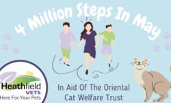 Spring Stepathon for oriental Cat Welfare Trust
