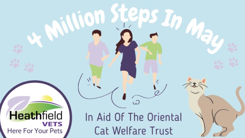 Spring Stepathon for oriental Cat Welfare Trust
