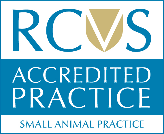What does it mean to be RCVS accredited?